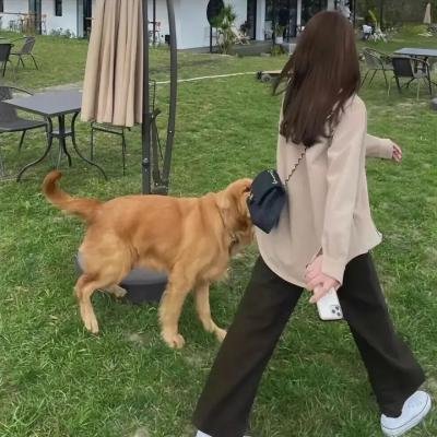 聚焦
